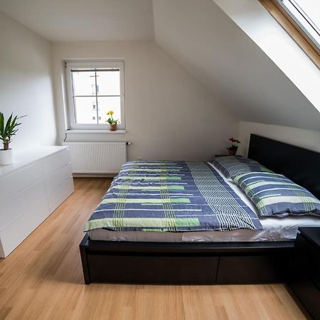 Apartmany Hasicarna Horní Vltavice Exterior foto