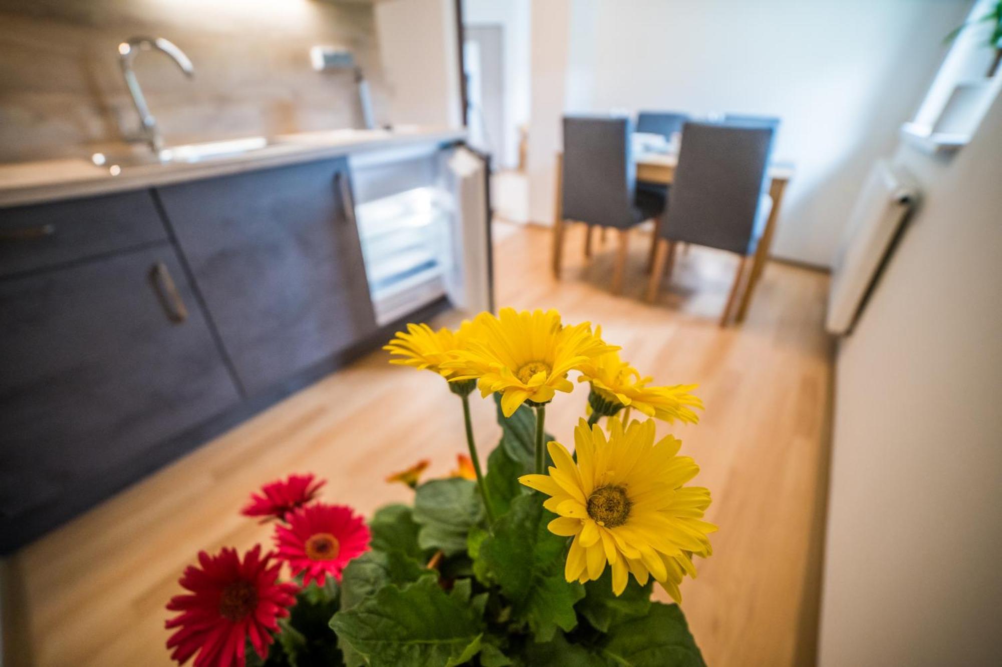 Apartmany Hasicarna Horní Vltavice Exterior foto