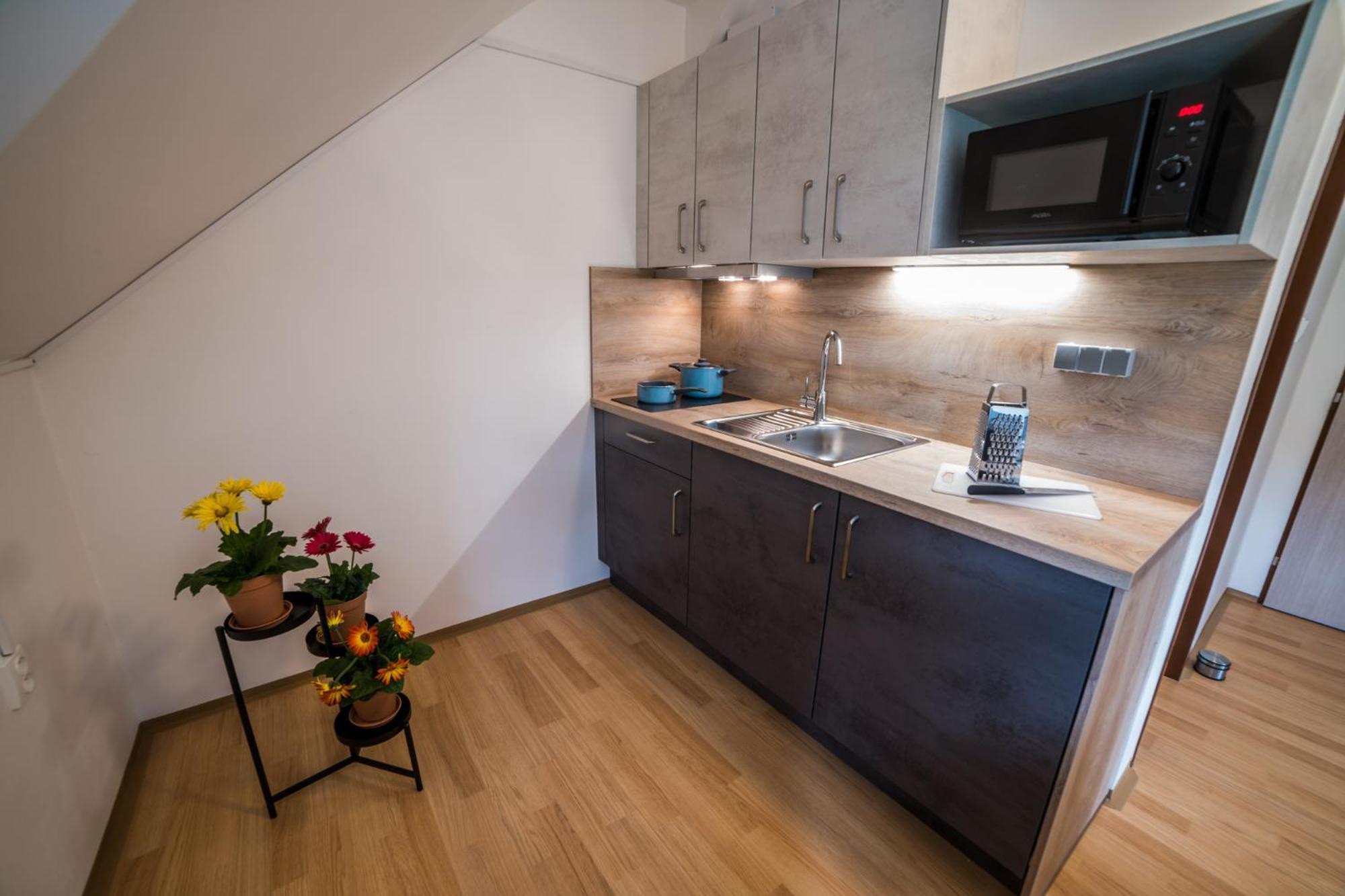 Apartmany Hasicarna Horní Vltavice Exterior foto